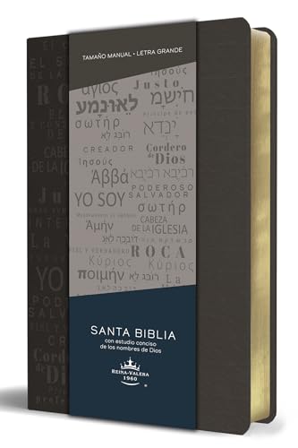Libro Santa Biblia Nombres De Dios Gris