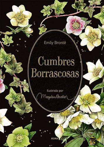 Libro CUMBRES BORRASCOSAS de EMILY BRONTA