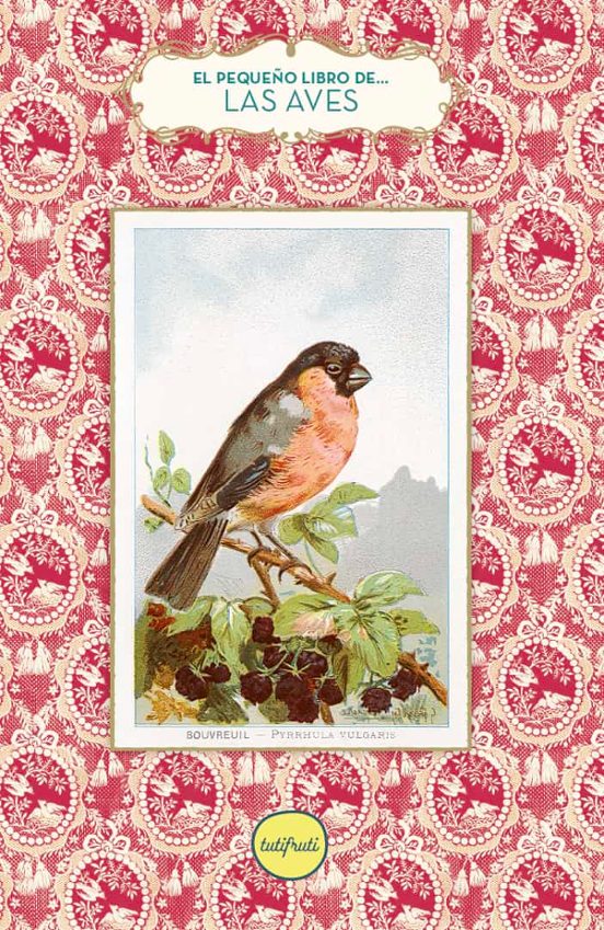Libro El Pequeño Libro De Las Aves