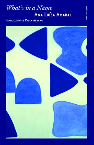 Libro WHATS IN A NAME de ANA LUISA AMARAL