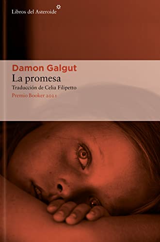 Libro LA PROMESA de DAMON GALGUT