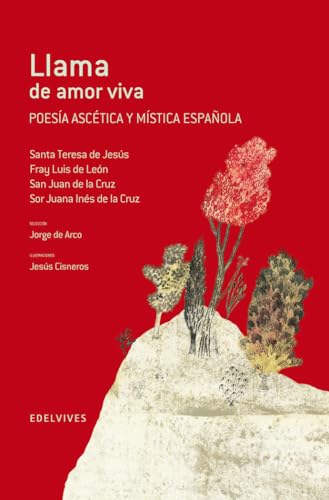 Libro LLAMA DE AMOR VIVA de VARIOS