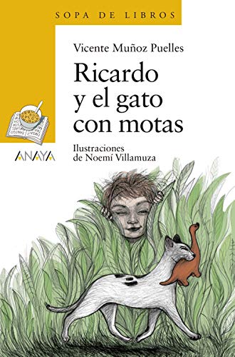 Libro Vicente Miñoz Puelles