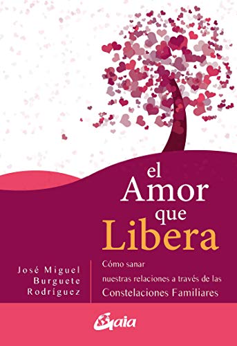 Libro EL AMOR QUE LIBERA de JOSE MIGUEL BURGUETE RODRIGUEZ