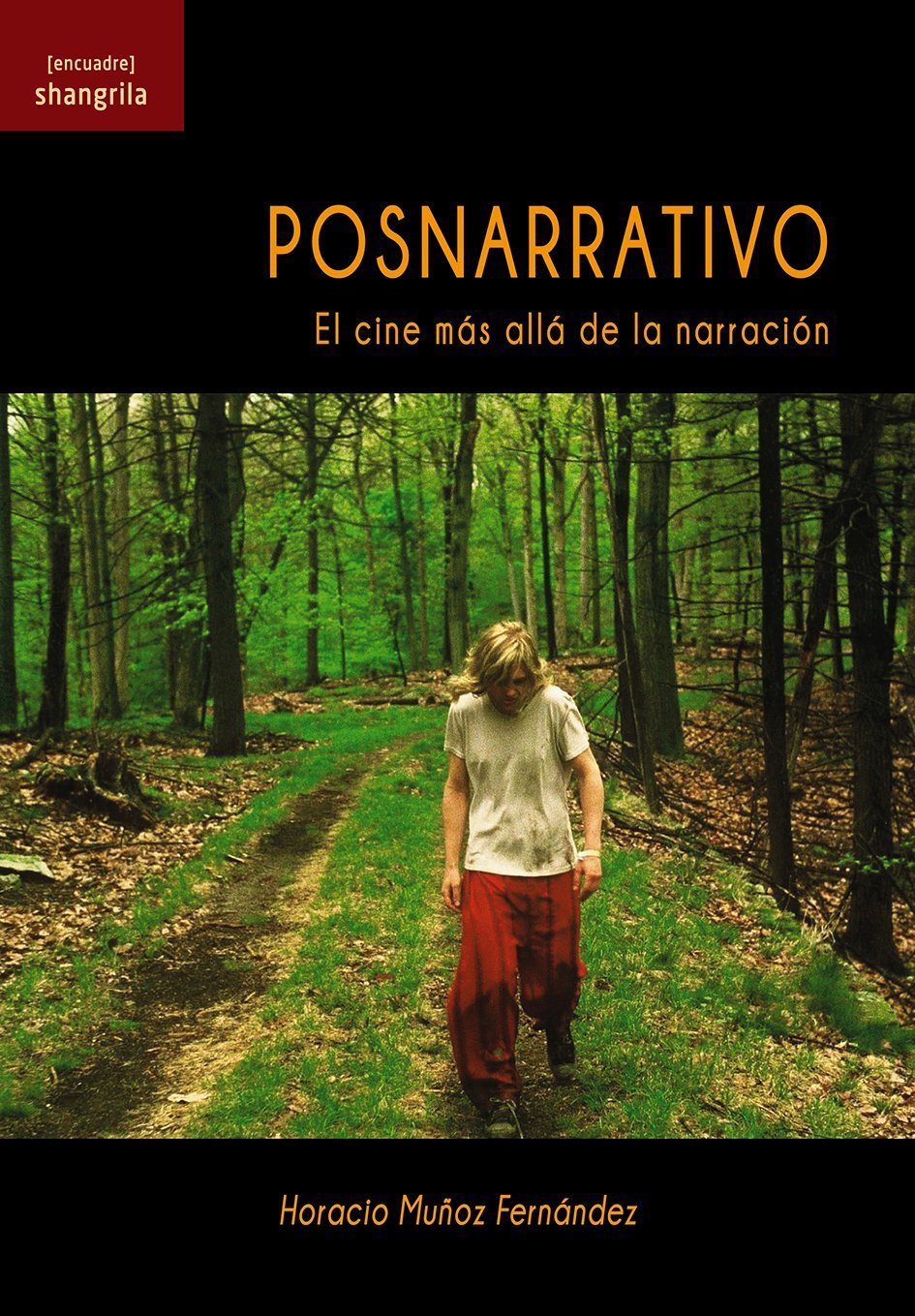 Libro Posnarrativo El Cine Mas Alla De La Narracion