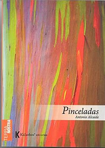 Libro Pinceladas