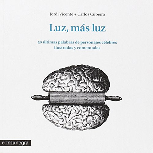 Libro LUZ MAS LUZ de JORDI VICENTE -CARLOS CUBEIRO