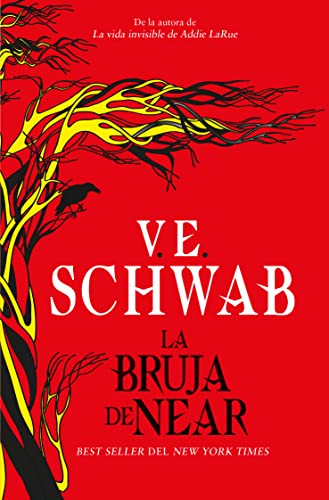 Libro LA BRUJA DE NEAR de V.E SCHWAB