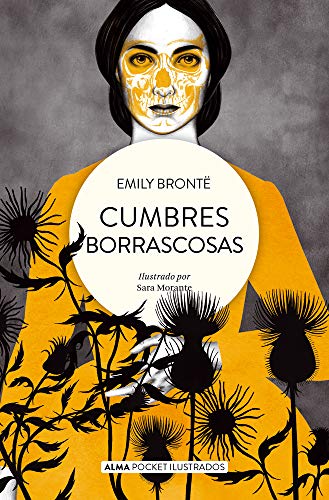 Libro CUMBRES BORRASCOSAS de EMILY BRONTE