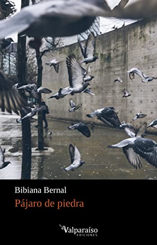 Libro PAJARO DE PIEDRA de BIBIANA BERNAL