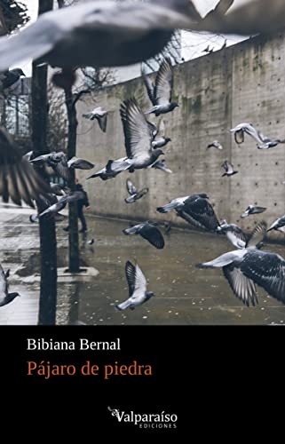 Libro Pajaro De Piedra