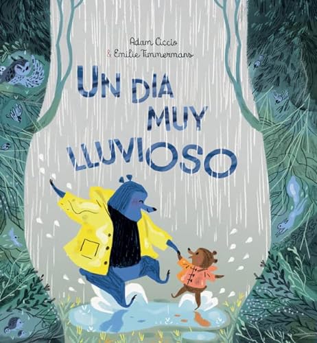 Libro UN DIA MUY LLUVIOSO de ADAM CICCIO