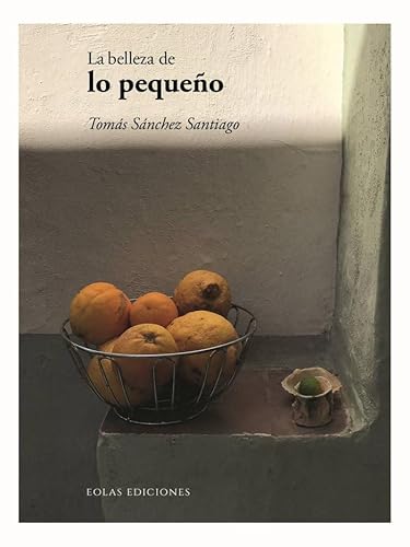 Libro LA BELLEZA DE LO PEQUENO de SANCHEZ SANTIAGO TOMAS