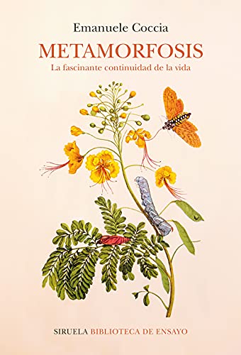 Libro METAMORFOSIS LA FASCINANTE CONTINUIDAD DE LA VIDA de EMANUELE COCCIA