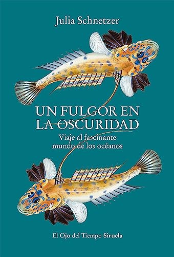 Libro UN FULGOR EN LA OSCURIDAD de JULIAN SCHNETZER