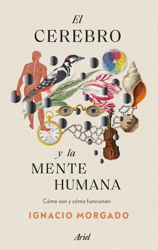 Libro El Cerebro Y La Mente Humana