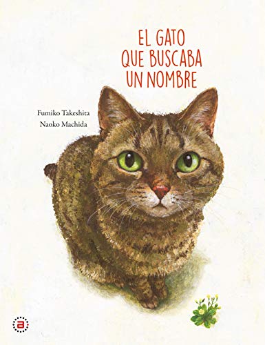 Libro EL GATO QUE BUSCABA UN NOMBRE de  TAKESHITA  Y MACHIDA