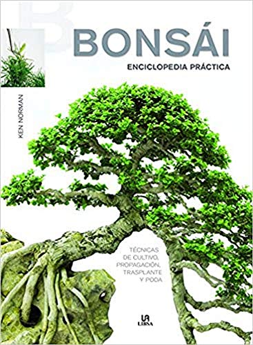 Libro Ken Norman