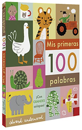 Libro MIS PRIMERAS 100 PALABRAS de EDWARD UNDERWOOD