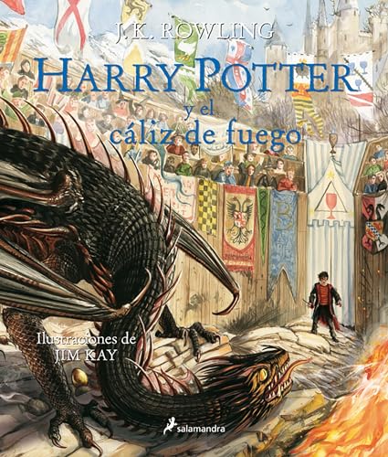 Libro HARRY POTTER Y EL CALIZ DE FUEGO de J K ROWLING