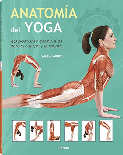 Libro ANATOMIA DEL YOGA de SALLY PARKES