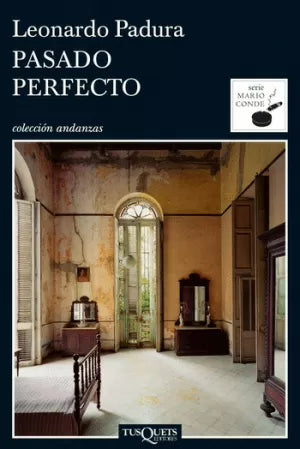 Libro Pasado Perfecto