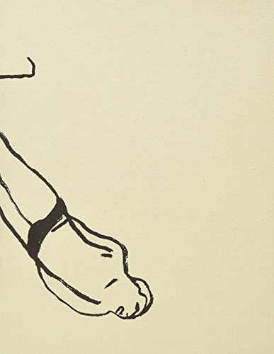 Libro EL LIBRO DE LAS CAIDAS de ANDRES BARBA-PABLO ANGULO