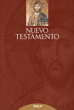 Libro Nuevo Testamento